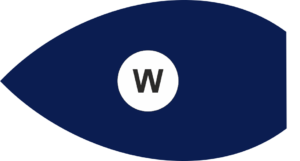 verlichting klein schip korter 7 mtr